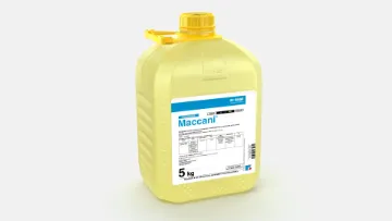 basf maccani